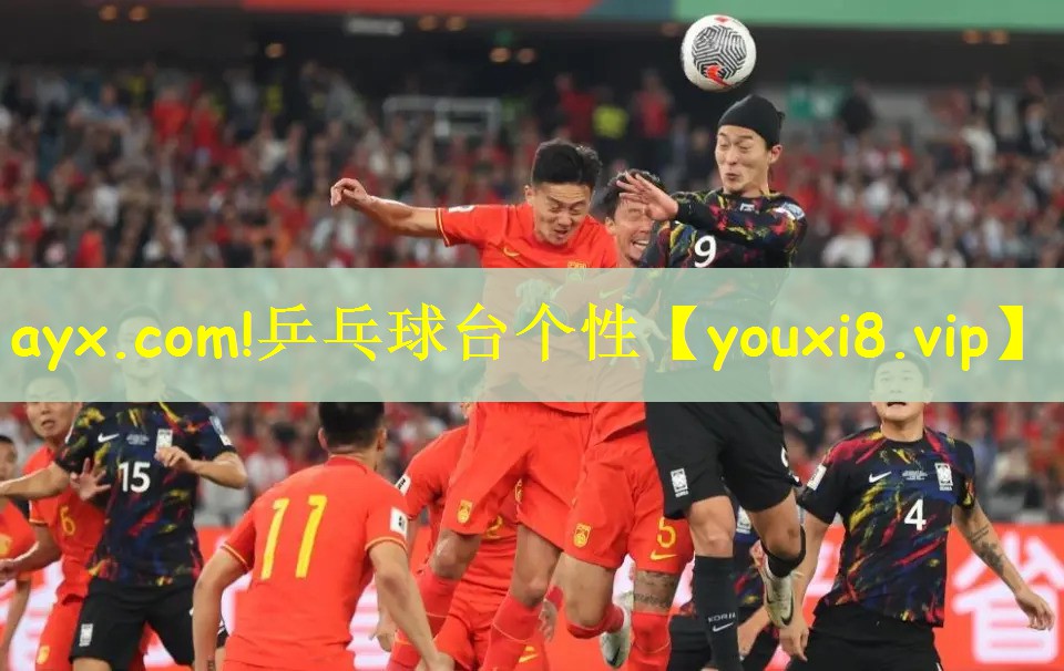 ayx.com!乒乓球台个性