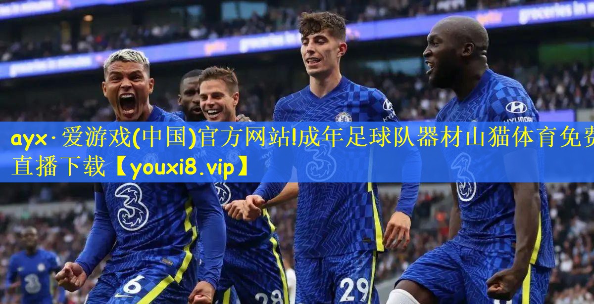 ayx·爱游戏(中国)官方网站!成年足球队器材山猫体育免费直播下载