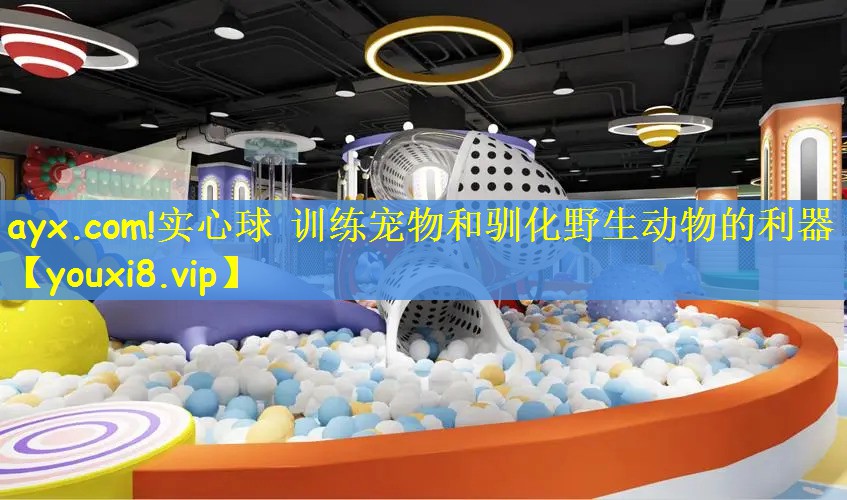 实心球 训练宠物和驯化野生动物的利器