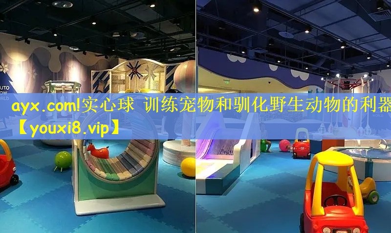 实心球 训练宠物和驯化野生动物的利器